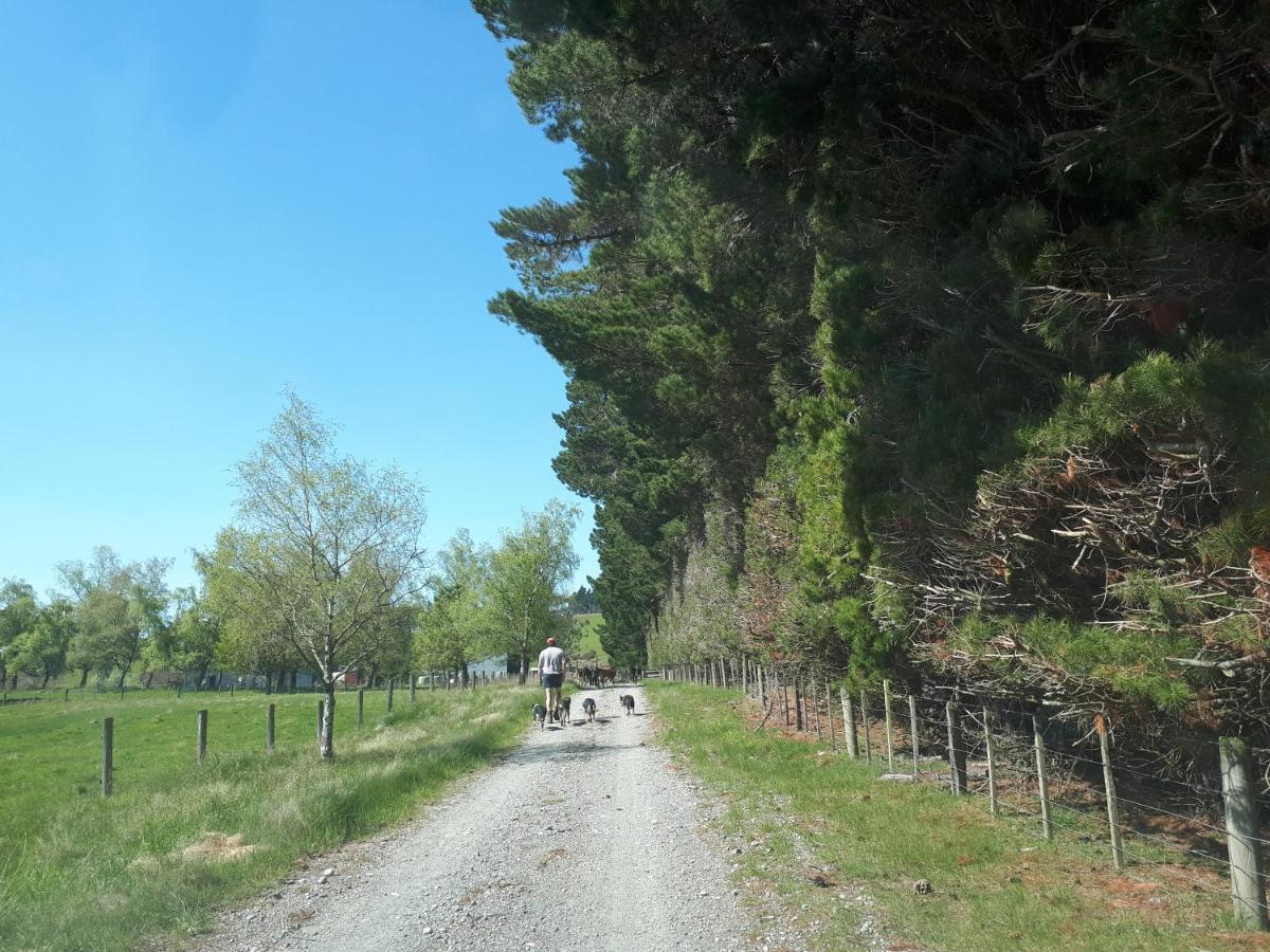 Te Anau Farm Cottage Ngoại thất bức ảnh