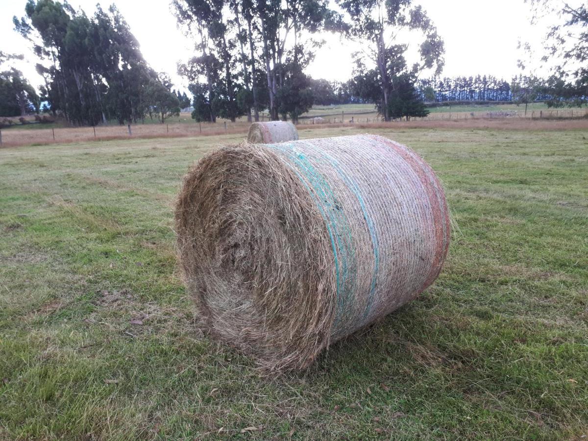 Te Anau Farm Cottage Ngoại thất bức ảnh